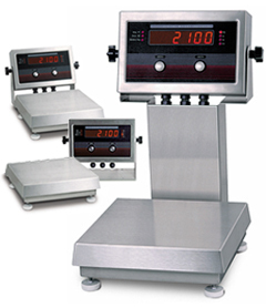 IQ plus 2100 Digital Bench Scale